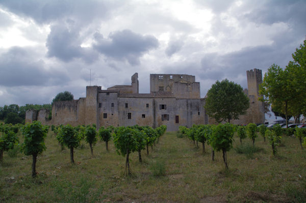 Le village fortifi moyenageux de Larressingle