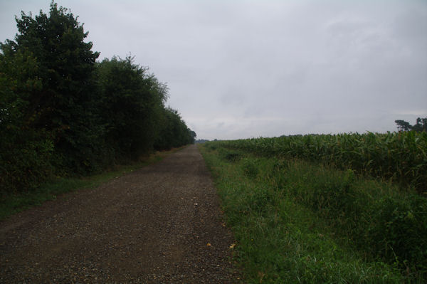 Le GR65 rectiligne dans les Landes de Mouneton