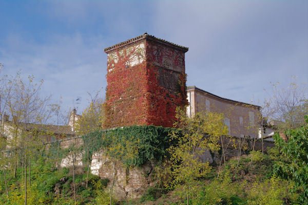 Un pigeonnier au dessus de la rue des Silos  Gaillac