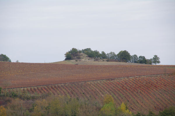 Le tumulus de St Salvy de Coutens