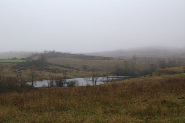 Le laquet sous le Domaine de Denis