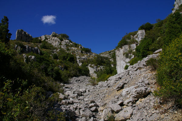 En haut  gauche la garrigue des Monges