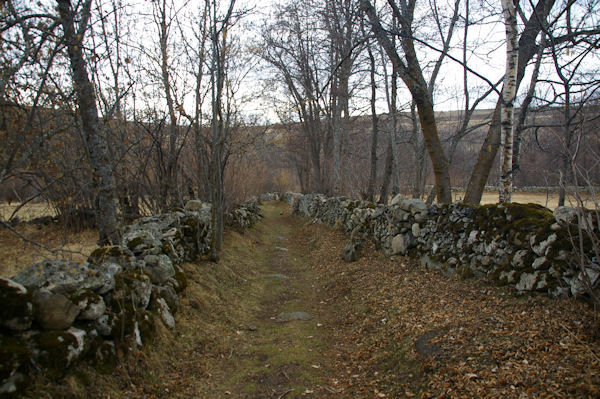 Le joli chemin menant au dolmen de Brangoli