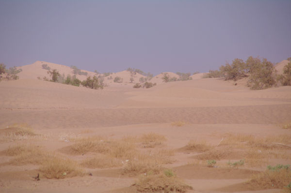 Les dunes au Nord entre Mhamid et Oulad Driss