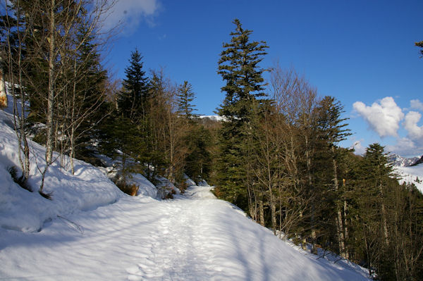 Le chemin montant au Col de Bazs