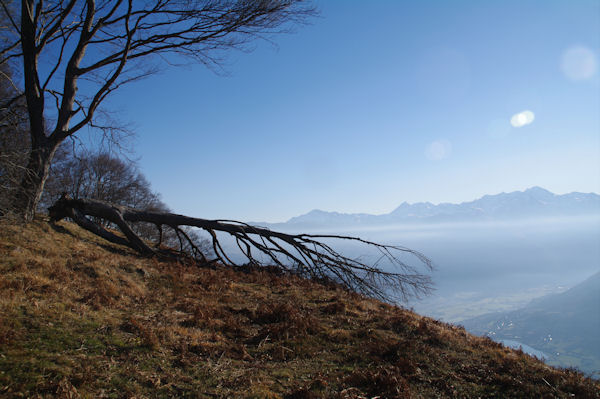 La crte de Soumassre