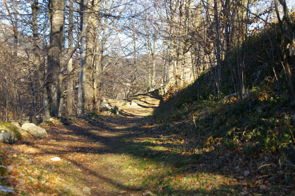 Le chemin arbor menant au Pic de Pan  Lesterle