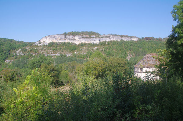 Une cazelle  Lagardelle