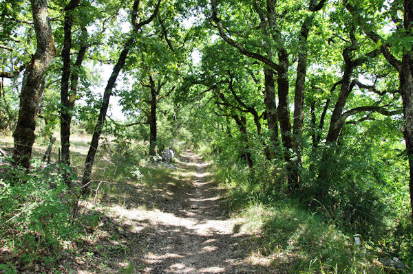 Le chemin vers les Grzettes