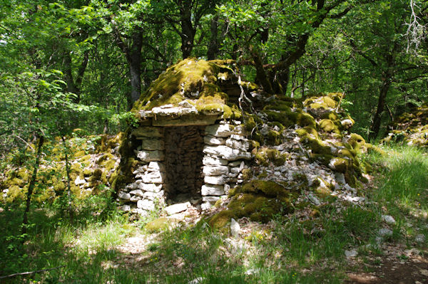 Un gariotte effondre dans la fort au Pech de Rcobert