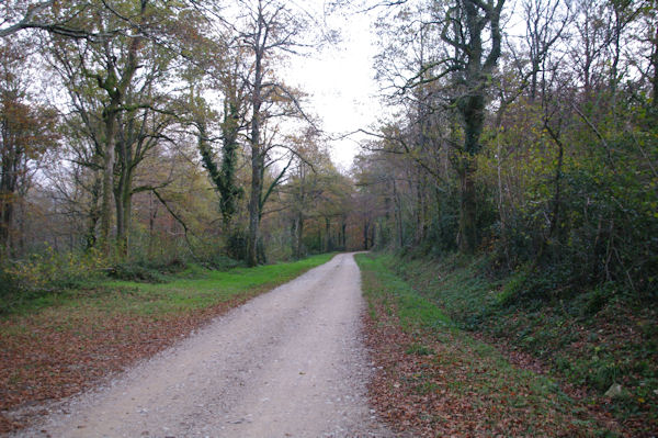 Le chemin vers le refuge de la Croix des Fangasses