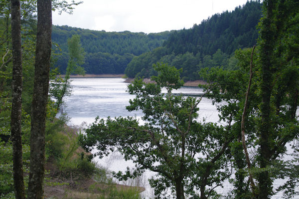 Le Lac des Cammazes depuis la fort de Crabemorte