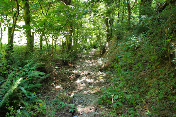 Le sentier de descente vers Massaguel