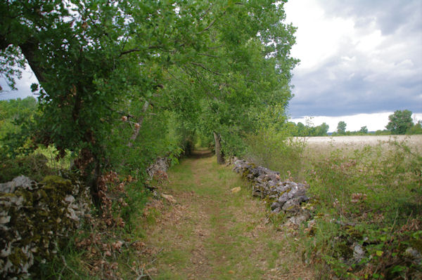 Le chemin vers Les Tombes