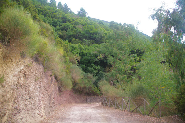 En descendant du Monte Fossa delle Felci vers Rinella